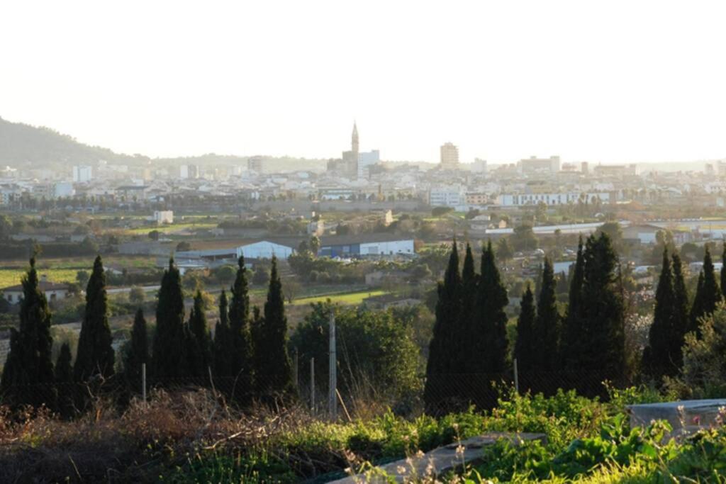 Finca Can Peixet Manacor  Luaran gambar